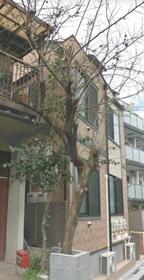 3/11 その他画像