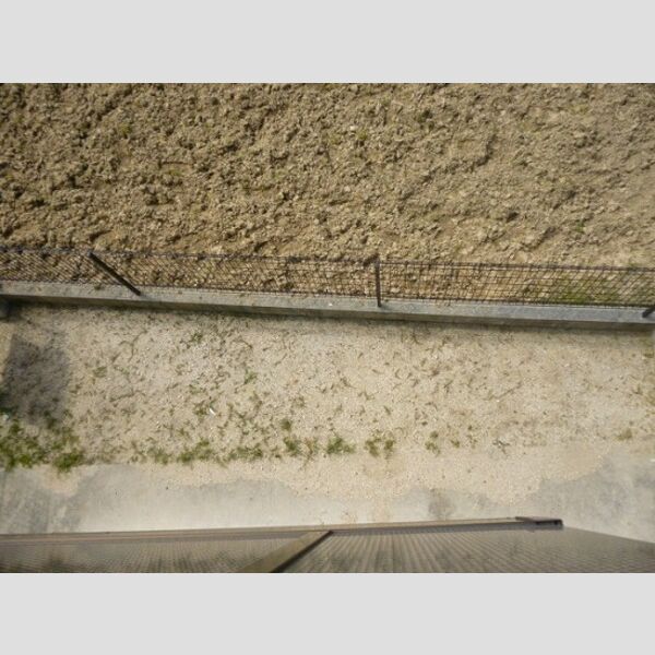 12/12 その他画像