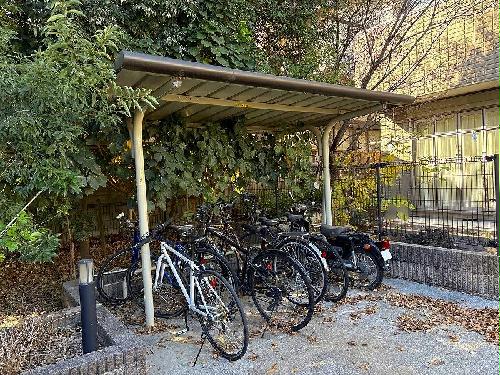 6/11 その他画像