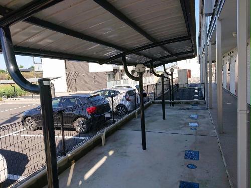 9/16 その他画像