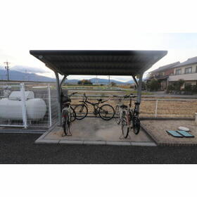 3/15 その他画像