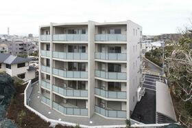 3/16 その他画像