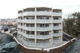 4/16 その他画像