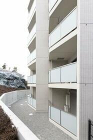 5/16 その他画像