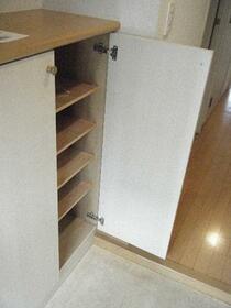 3/16 その他画像