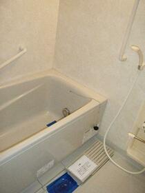 6/16 その他画像