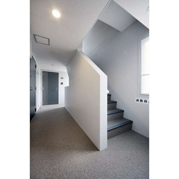 8/19 その他画像