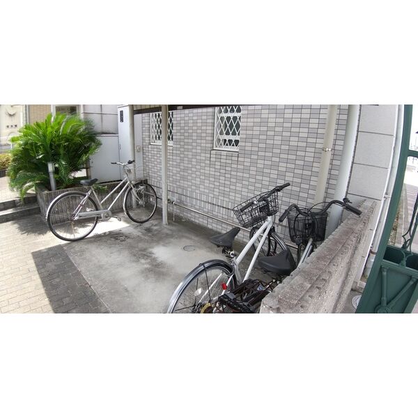 6/19 その他画像