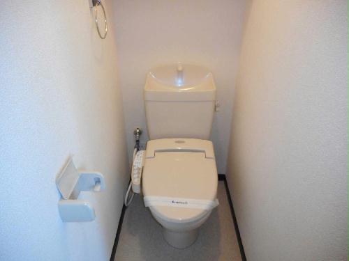 8/14 その他画像