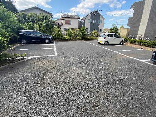 11/15 その他画像