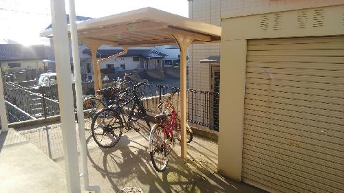 12/17 その他画像