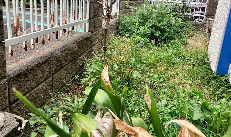 14/17 その他画像