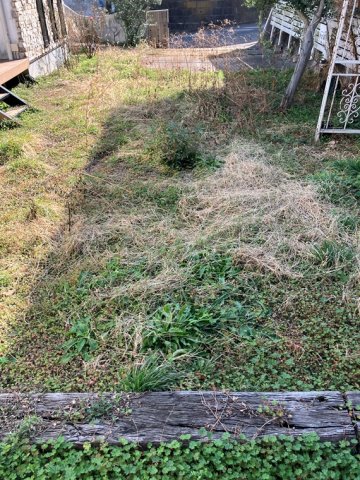 14/19 その他画像