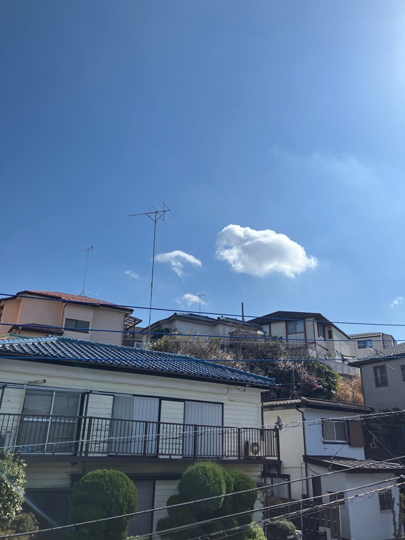 15/19 その他画像