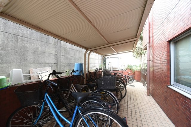 3/16 その他画像