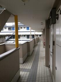 5/16 その他画像