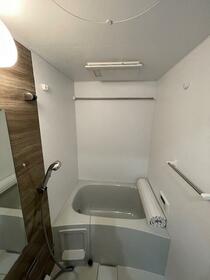 5/16 その他画像