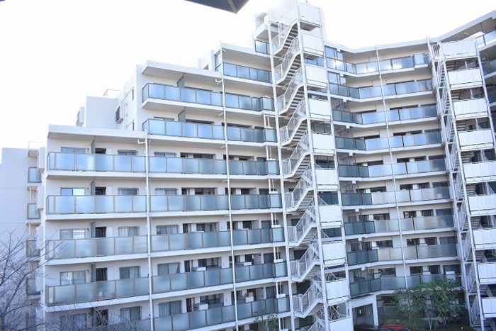 15/19 その他画像