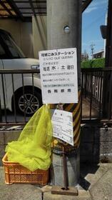 6/16 その他画像