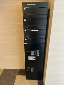 11/11 その他画像