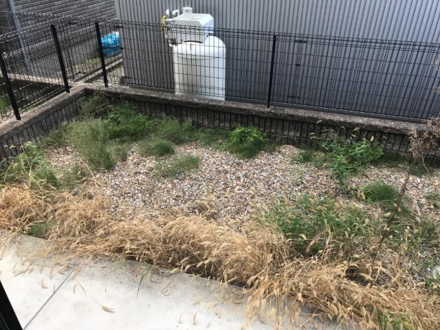 20/27 その他画像