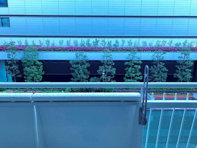9/10 バルコニー