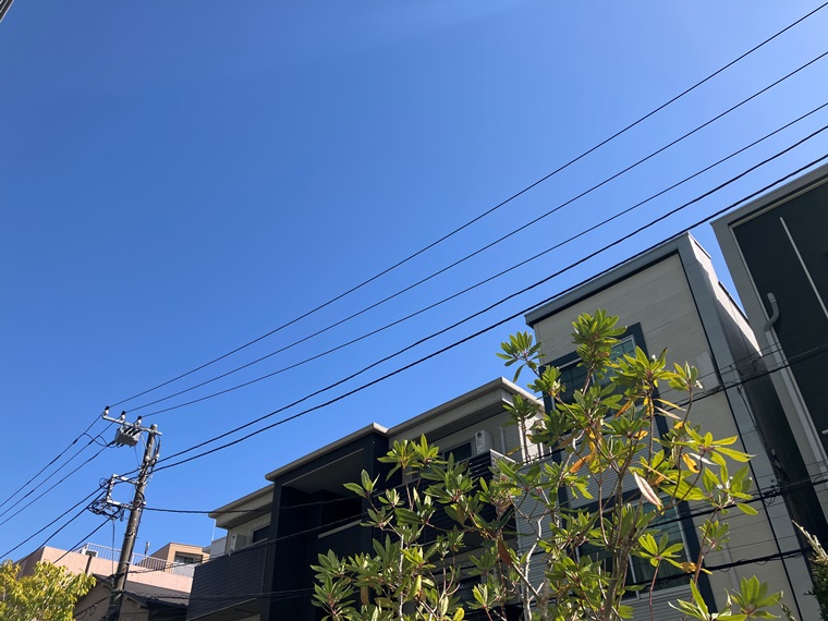 15/19 その他画像