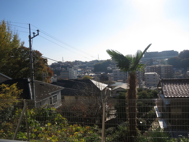 11/19 その他画像