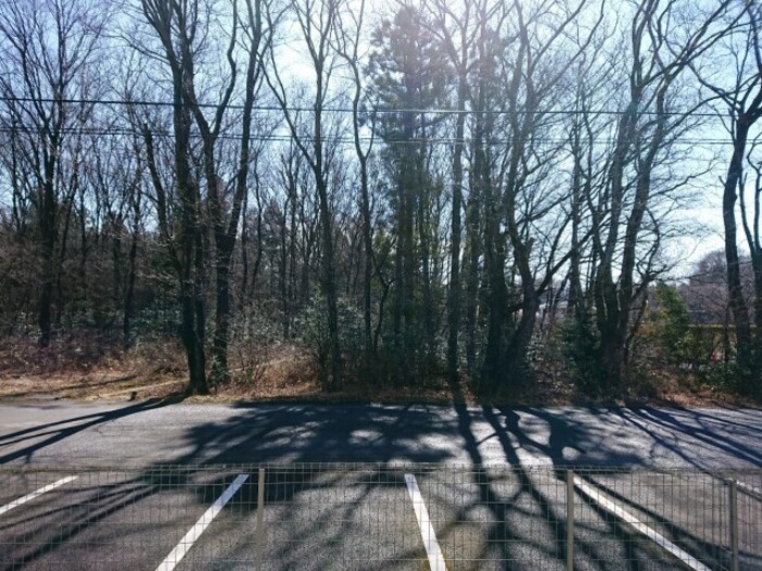 18/20 その他画像