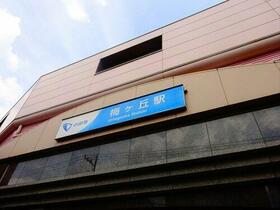 17/17 その他画像