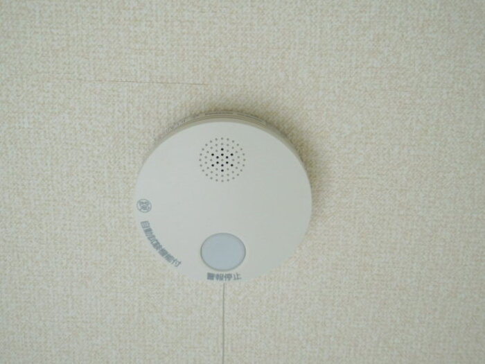 13/17 その他画像