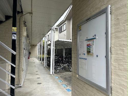 9/14 その他画像