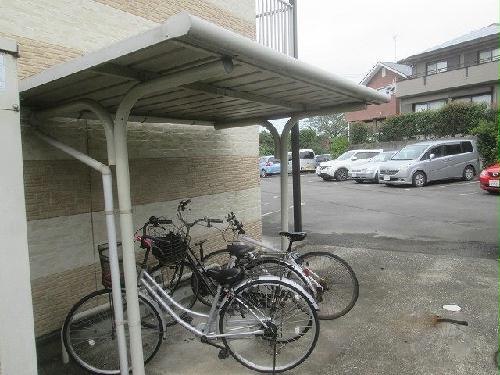 12/21 その他画像