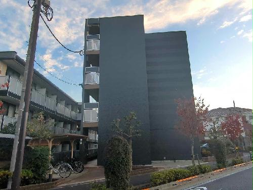 8/14 その他画像