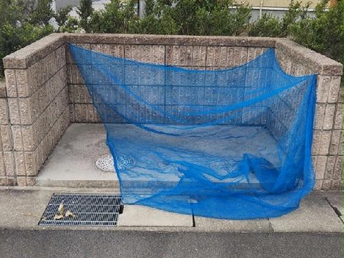 8/20 その他画像