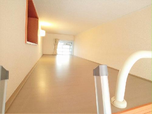 11/23 その他画像