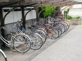 11/13 その他画像