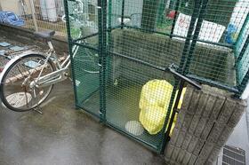 15/17 その他画像