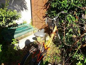 15/15 その他画像