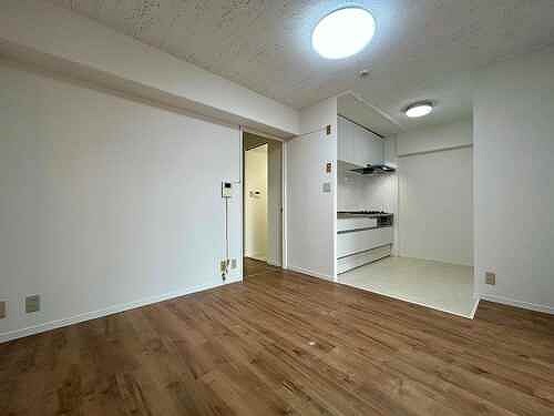 5/11 その他画像