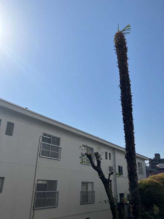 13/16 その他画像