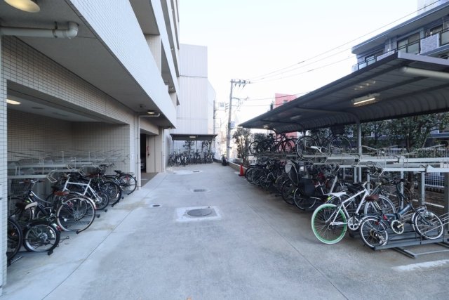 8/17 その他画像