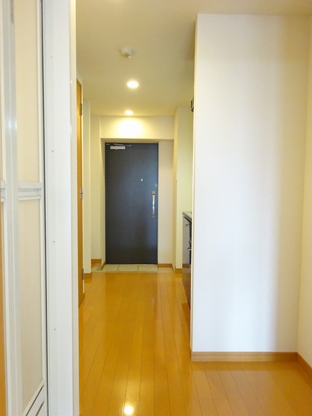 11/14 その他画像