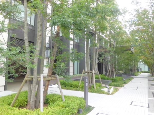 17/19 その他画像