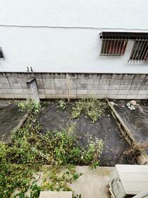 11/11 その他画像