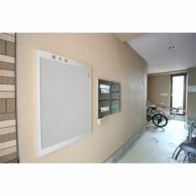 5/10 その他画像