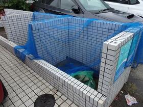 15/16 その他画像