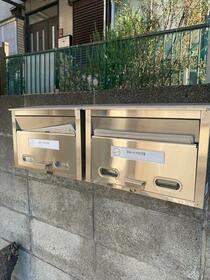 13/13 その他画像