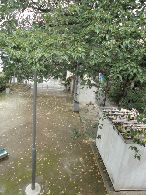 12/14 その他画像