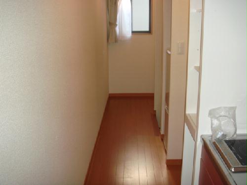 6/13 その他画像